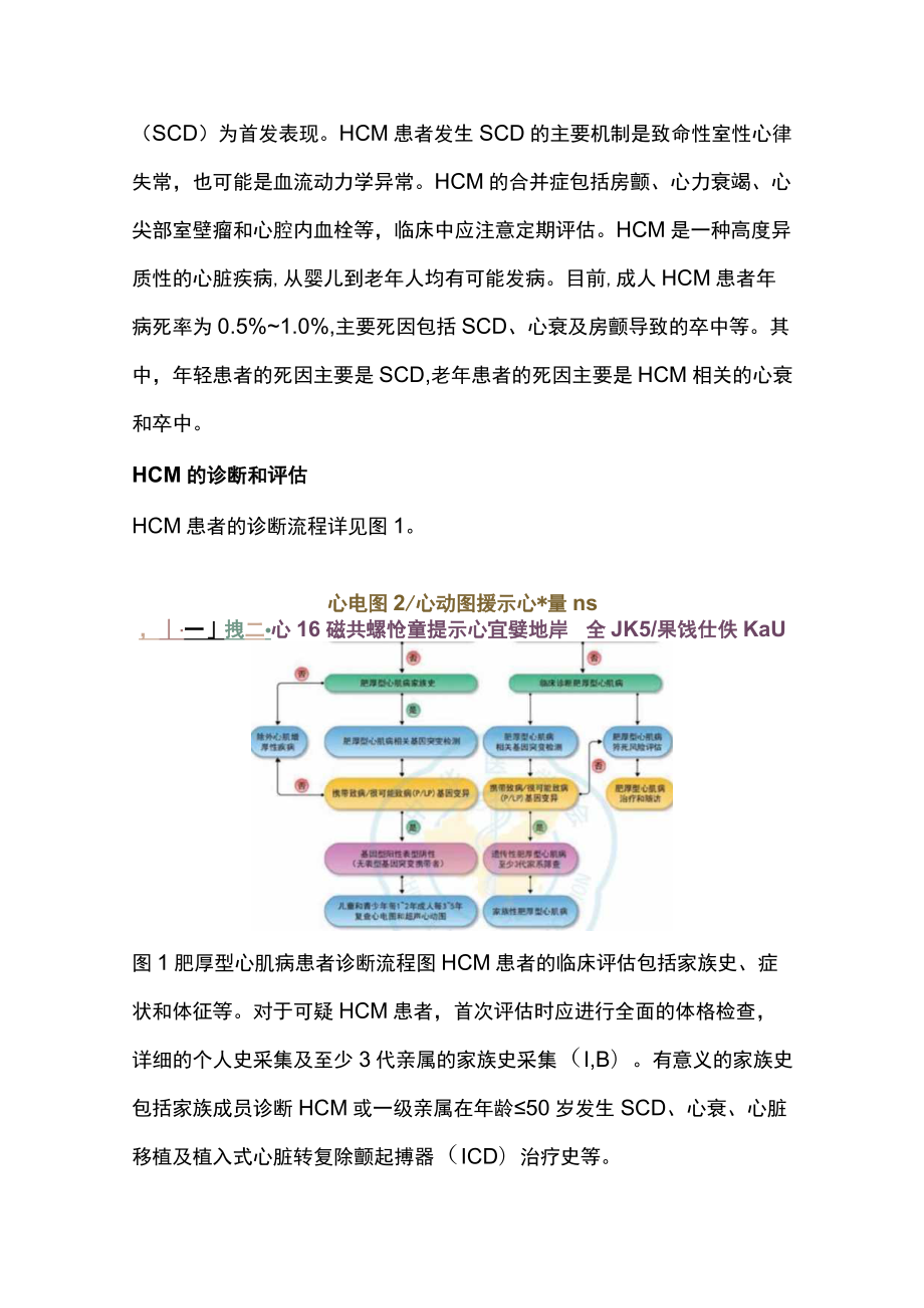 2023中国肥厚型心肌病管理指南更新要点（全文）.docx_第2页