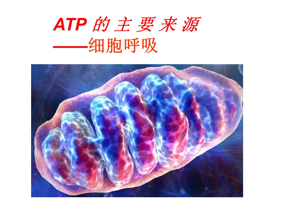 生物：53《ATP的主要来源——细胞呼吸》课件-新人教版必修1).ppt_第2页