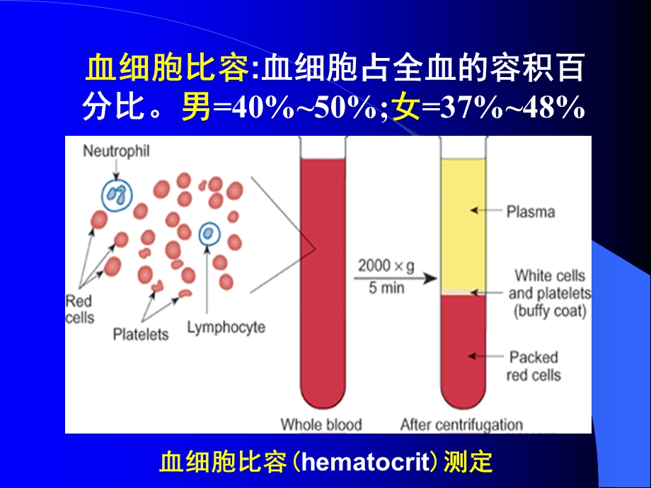 最新三章节血液bloodPPT文档.ppt_第1页