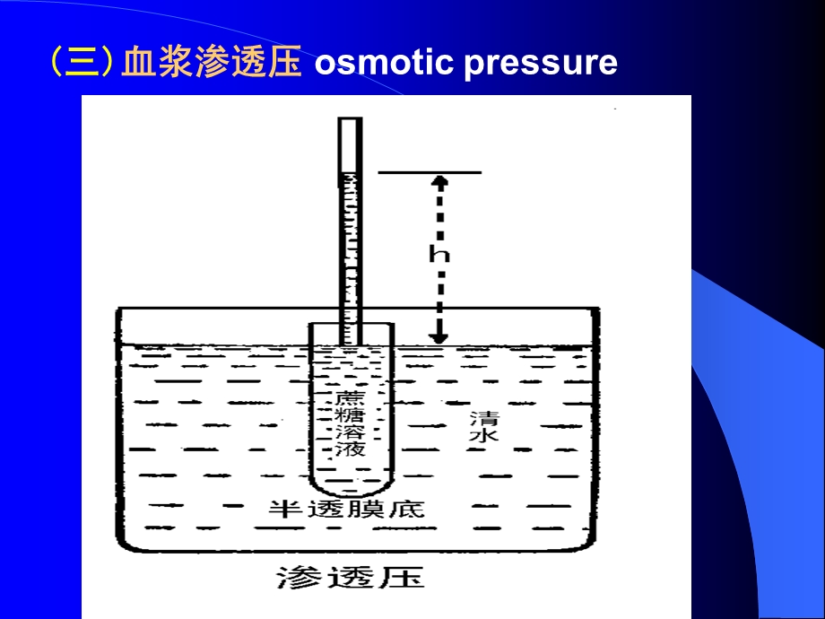 最新三章节血液bloodPPT文档.ppt_第3页