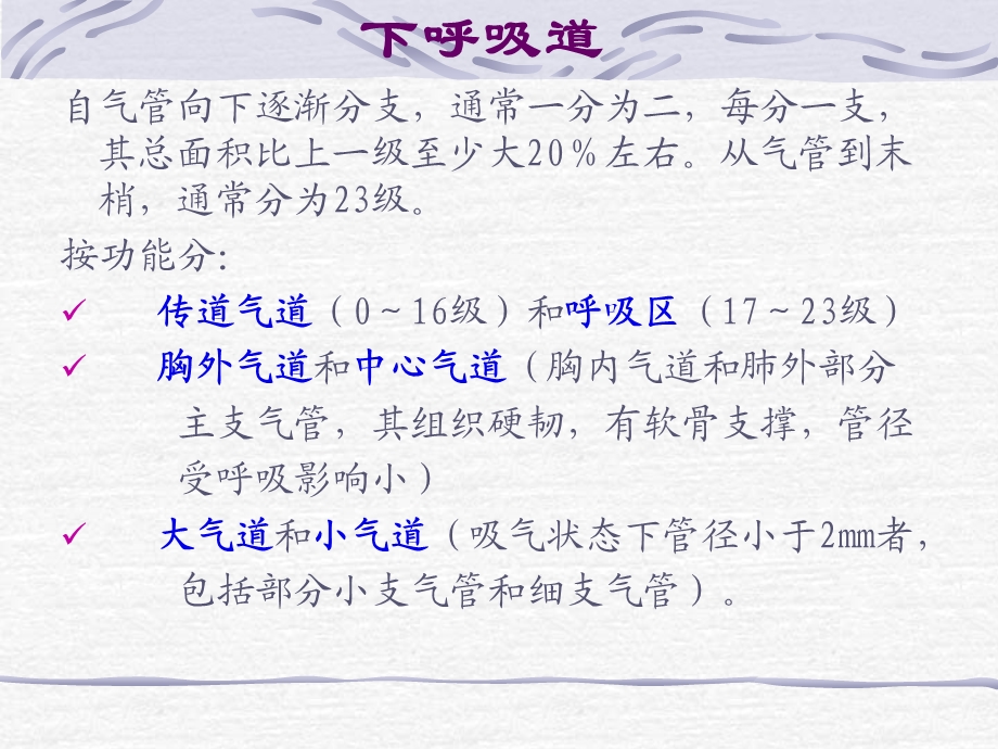 专家课件呼吸系统应用解剖和生理北京协和医院呼吸科陆慰萱PPT文档.ppt_第3页