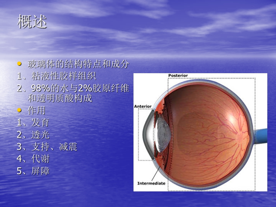 玻璃体疾病PPT课件文档资料.ppt_第1页