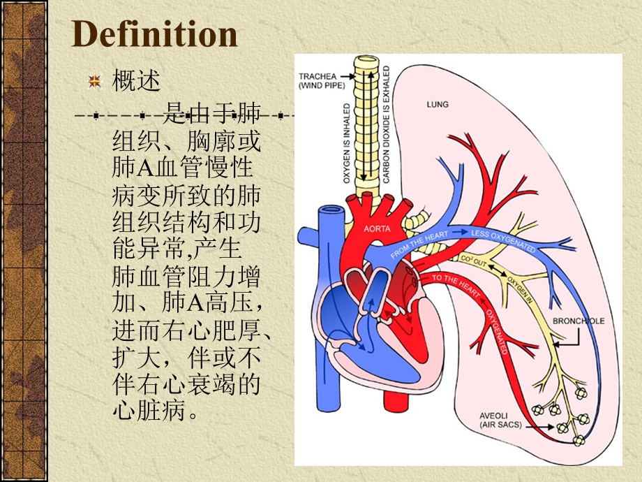 慢性肺原性心脏病文档资料.ppt_第1页