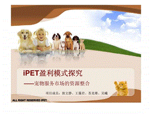 iPET盈利模式探究宠物服务市场的资源整合17.ppt