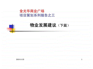 金光华商业广场项目策划系列报告之三物业发展建议下篇.ppt