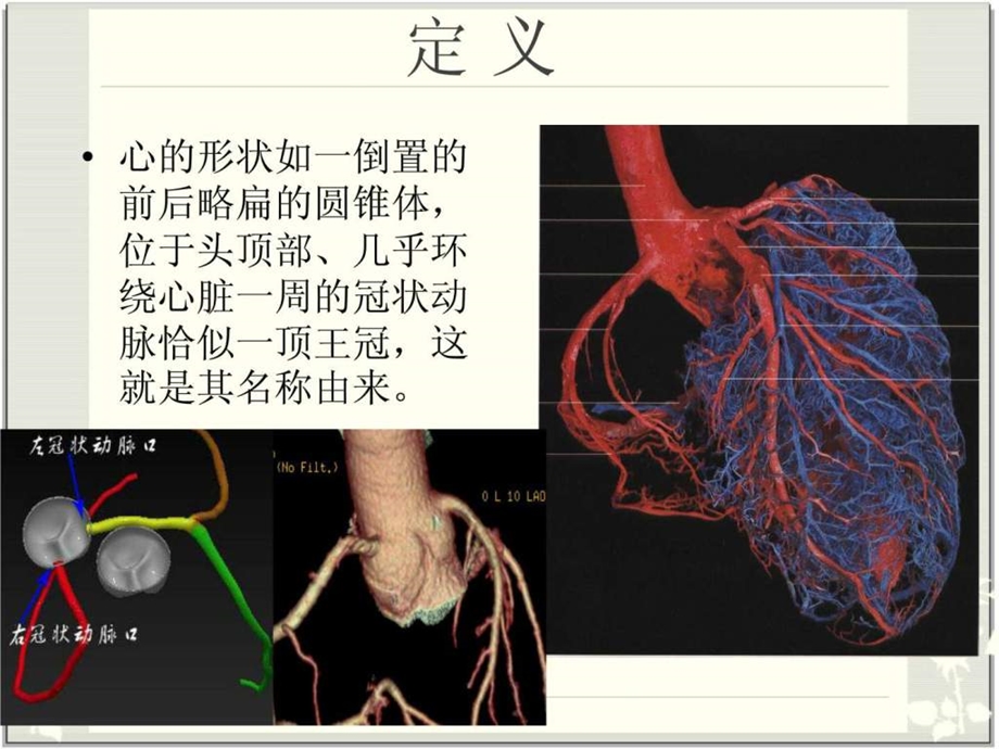 冠脉解剖与CTA最简单最容易记忆图片最丰富.ppt.ppt_第2页