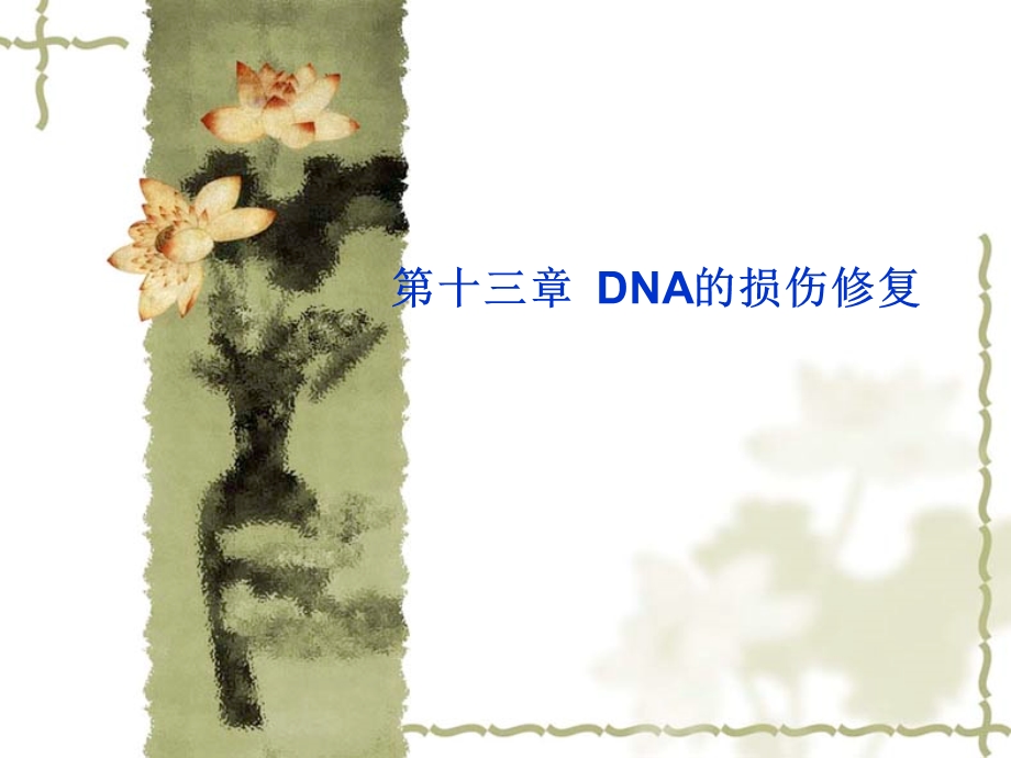 第十三部分DNA的损伤修复.ppt_第1页