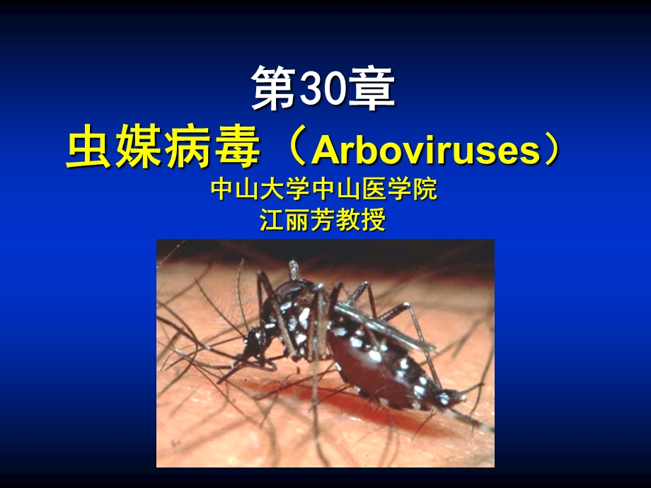 第3章虫媒病毒ppt课件.PPT_第1页