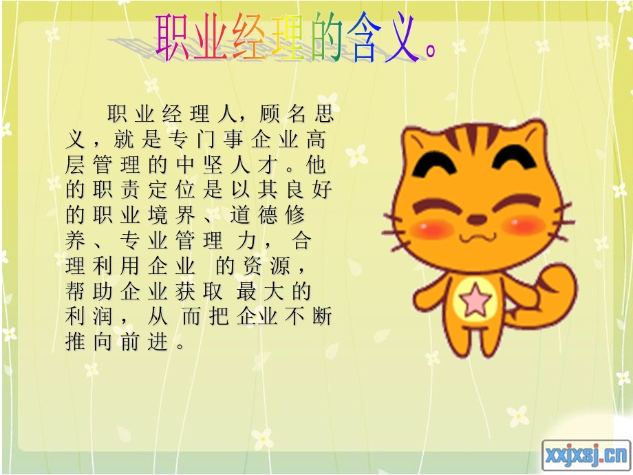 理想的职业职业经理.ppt_第2页