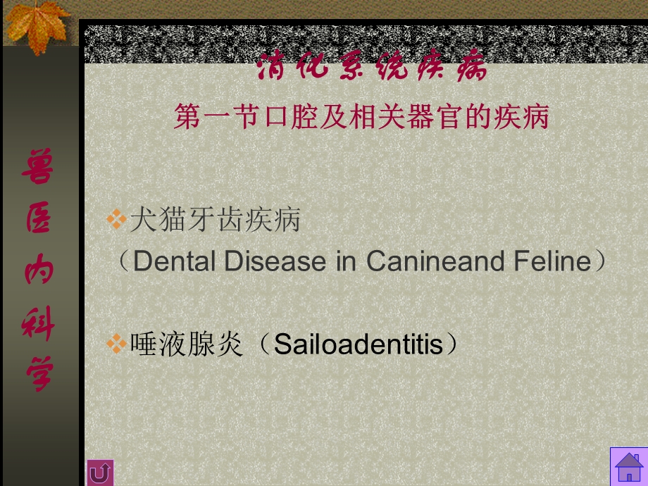 【医药健康】兽医内科学 消化系统疾病PPT文档.ppt_第3页