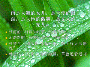 雨的四季图文1564373688.ppt.ppt