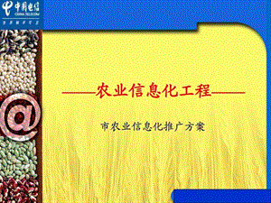 某市农业信息化推广方案介绍v5.ppt.ppt