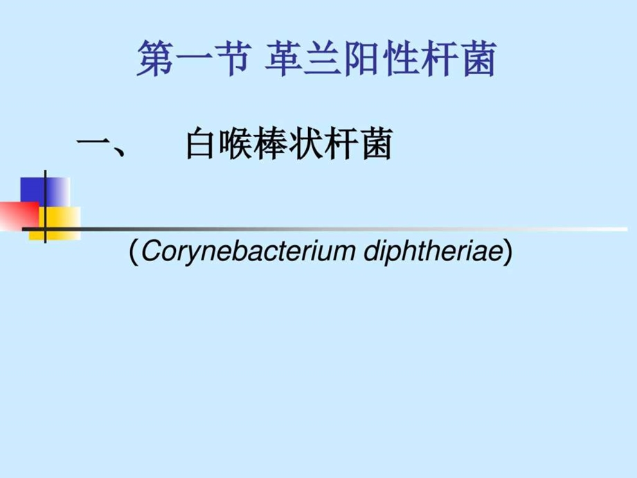 20其他重要病原性细菌图文.ppt.ppt_第2页