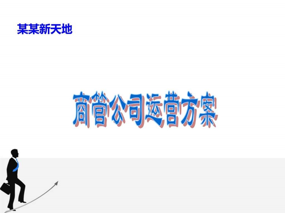 某商业经营管理公司运营方案图文.ppt.ppt_第1页