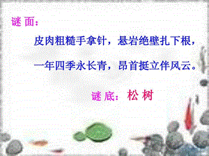 17山谷中的谜底优质课件.ppt