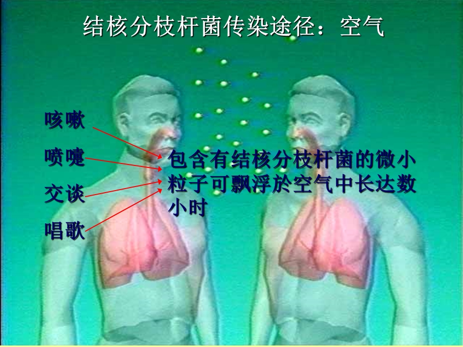 社区结核病病例管理文档资料.ppt_第1页