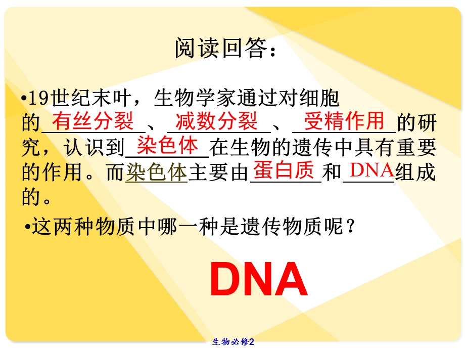 必修Ⅱ-3-1DNA是主要的遗传物质.ppt_第3页
