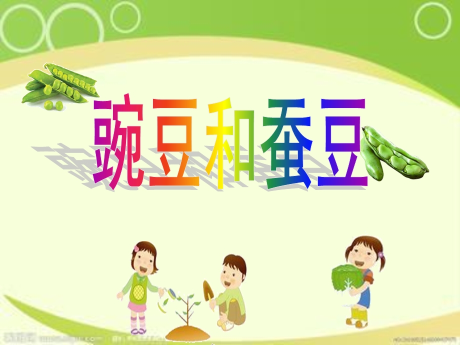 儿歌豌豆和蚕豆.ppt_第1页