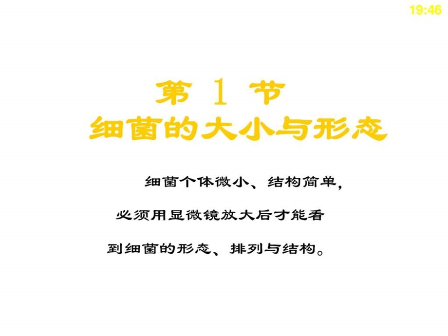 PPT第1章细菌的形态与结构1724837677.ppt.ppt_第3页