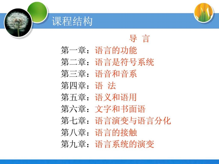 语言学概论导言.ppt.ppt_第2页