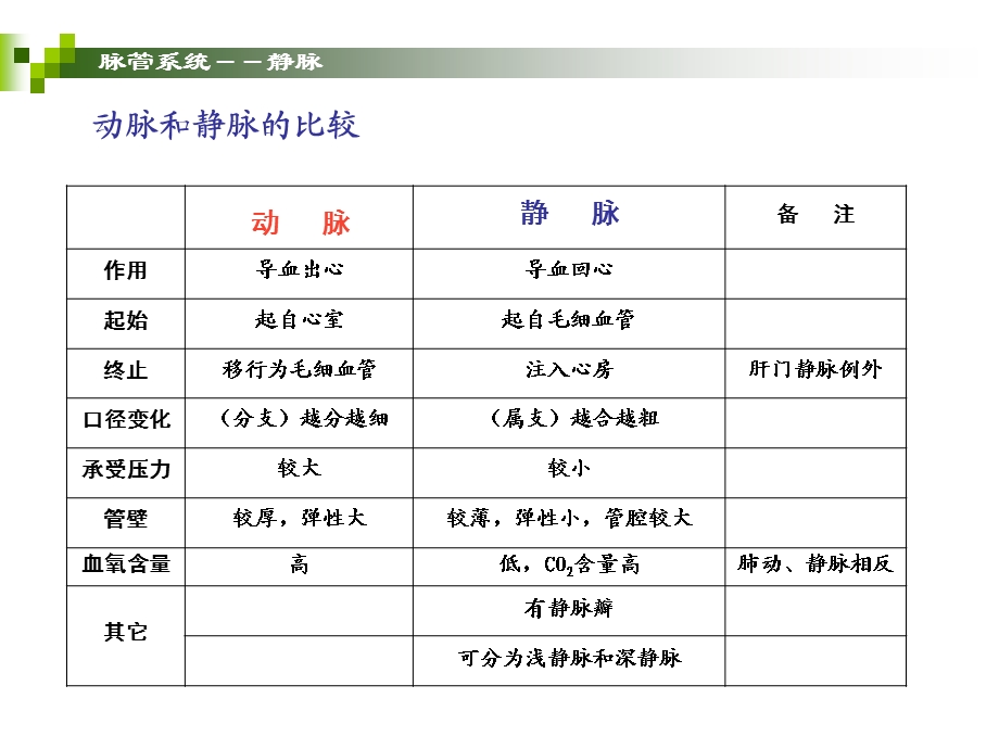 静脉和淋巴精选文档.ppt_第2页