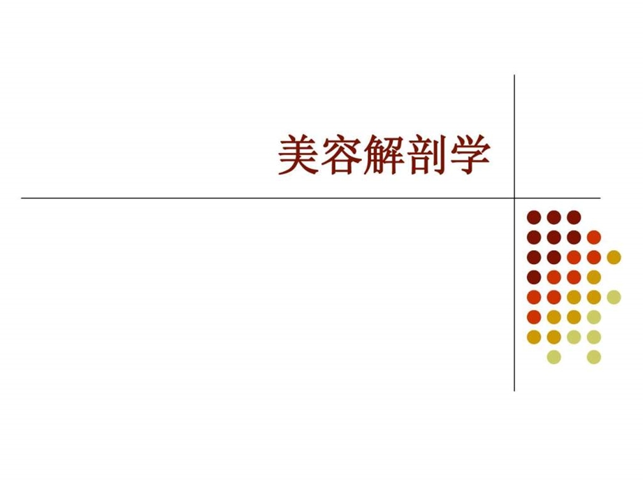 美容解剖学绪论.ppt.ppt_第1页