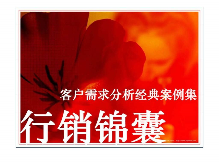 客户需求分析案例.ppt_第1页