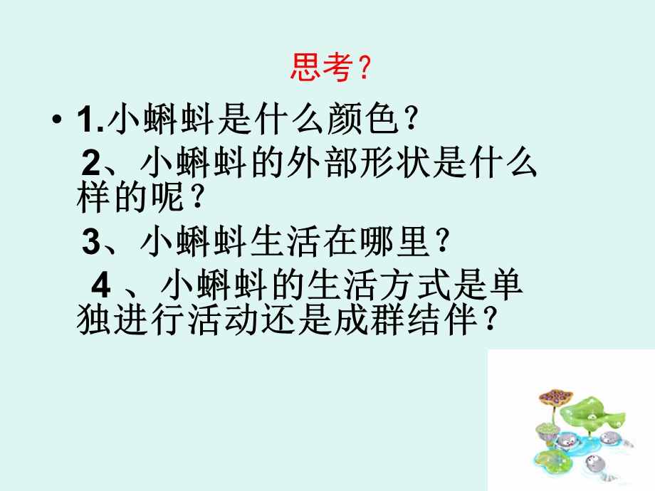 小蝌蚪(教学课件).ppt_第3页