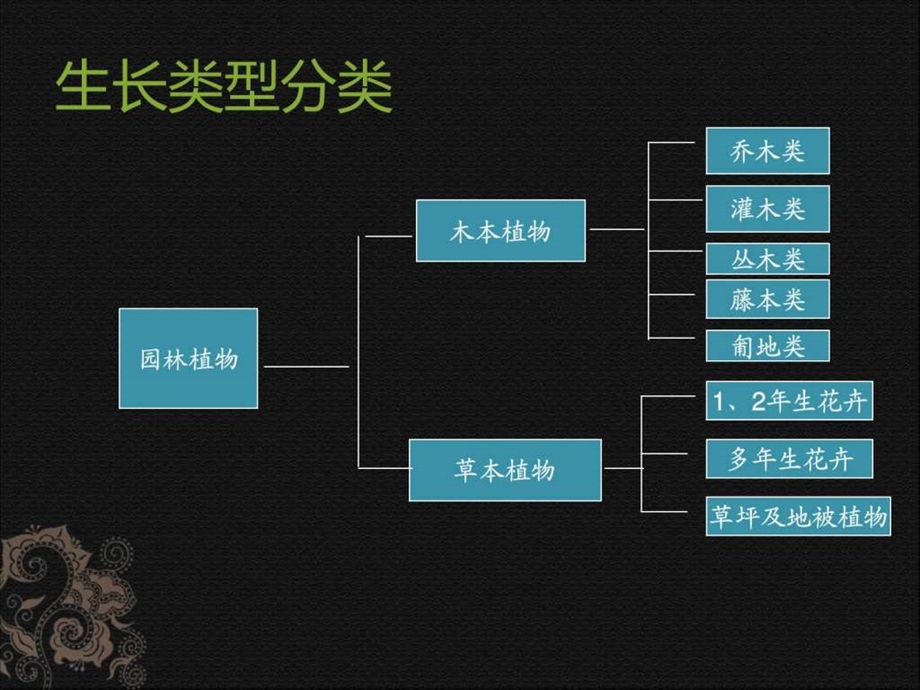 陕西常见园林植物种植及养护精编篇.ppt.ppt_第3页