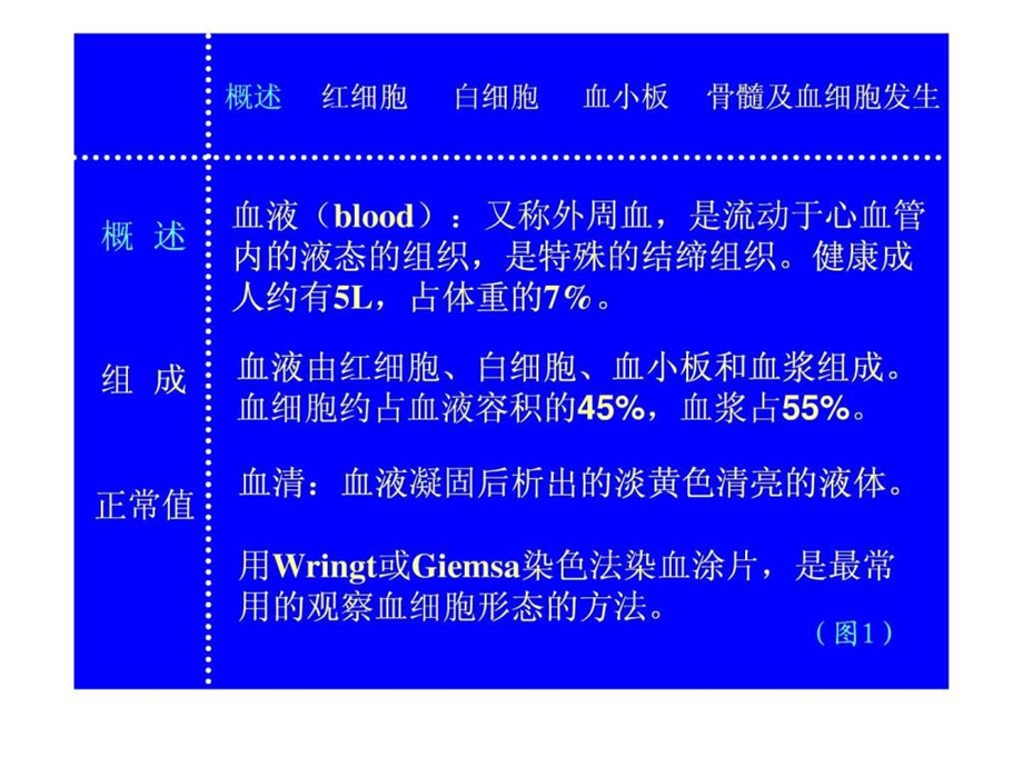 04血液淋巴和血细胞发生1561532444.ppt.ppt_第3页