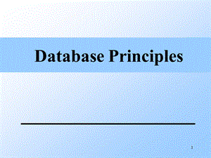 数据库原理英文课件Chapter3TheRelationalDataModel.ppt