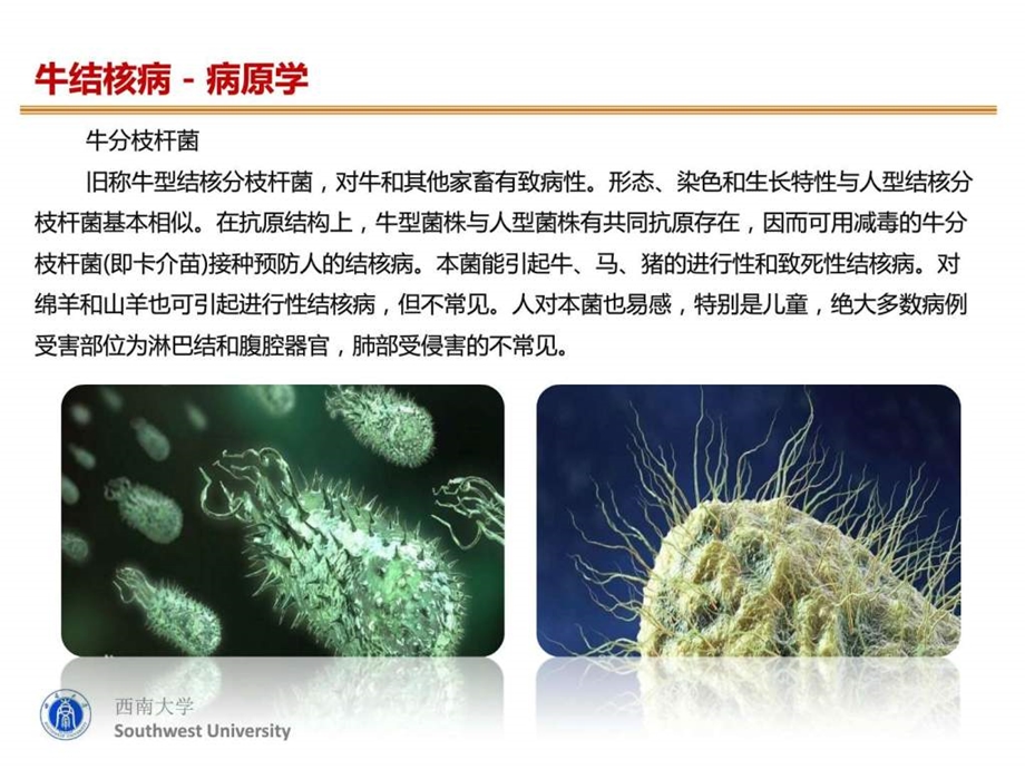 奶牛结核病防治图文.ppt.ppt_第3页