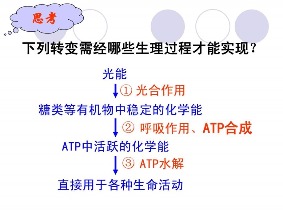 捕获光能的色素和结构课件.ppt.ppt_第2页