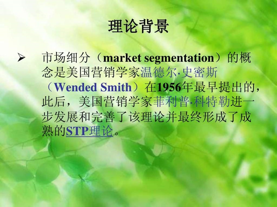 STP营销管理战略L.ppt.ppt_第3页