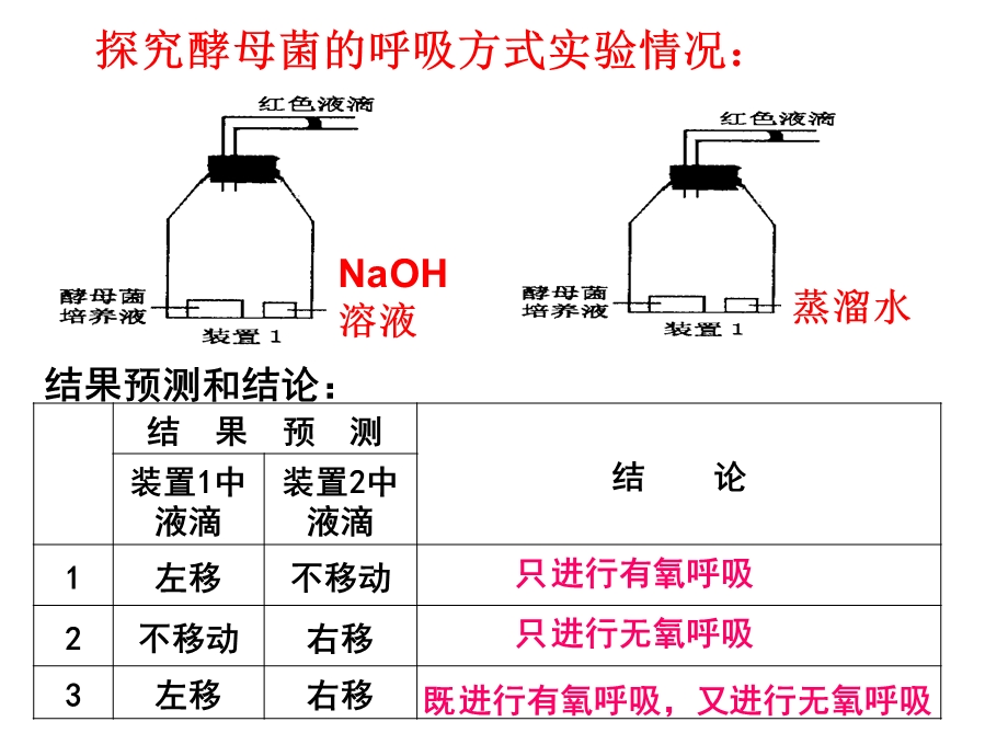 光合作用呼吸装置图.ppt_第1页