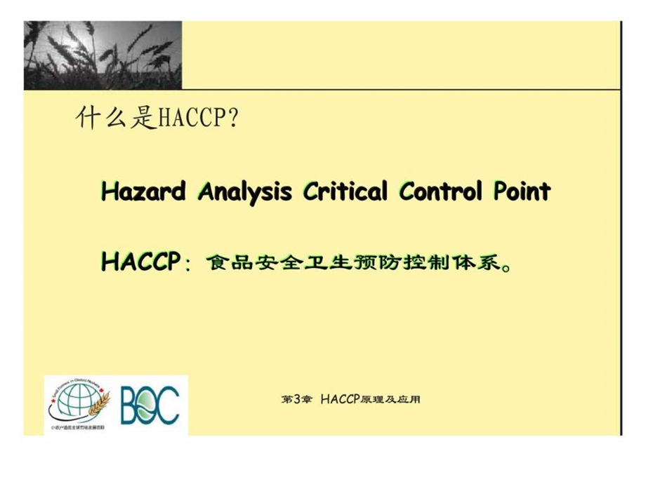 食品安全丶质量管理及相关标准体系培训第3章HACCP原理及其应用.ppt_第3页