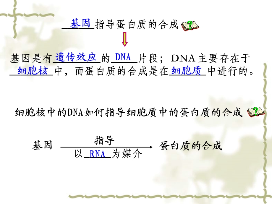 基因指导蛋白质的合成asp.ppt_第3页