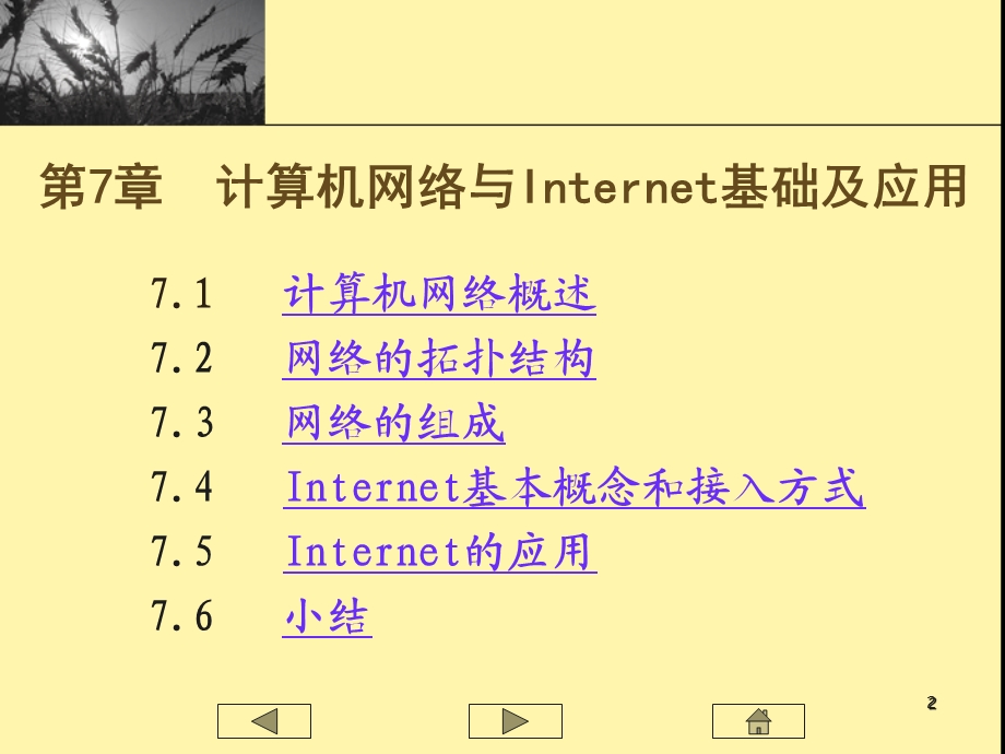 第7章计算机网络与Internet基础及应用.ppt_第2页