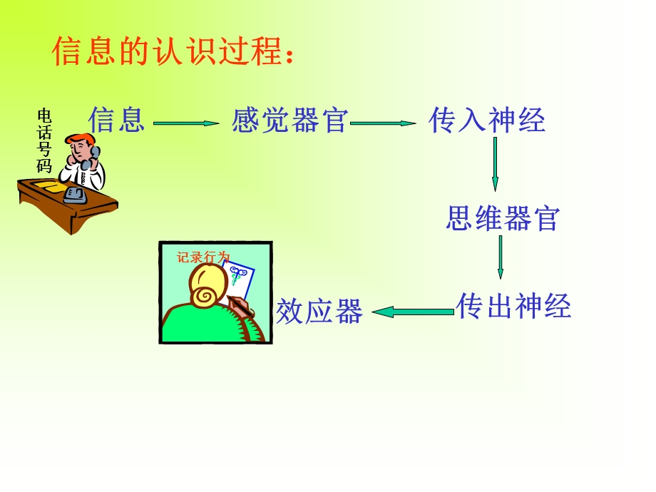 信息的获取和利用.ppt_第2页