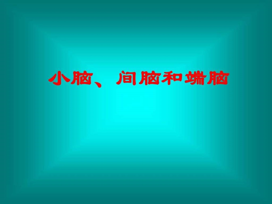 小脑间脑和端脑.ppt.ppt_第1页