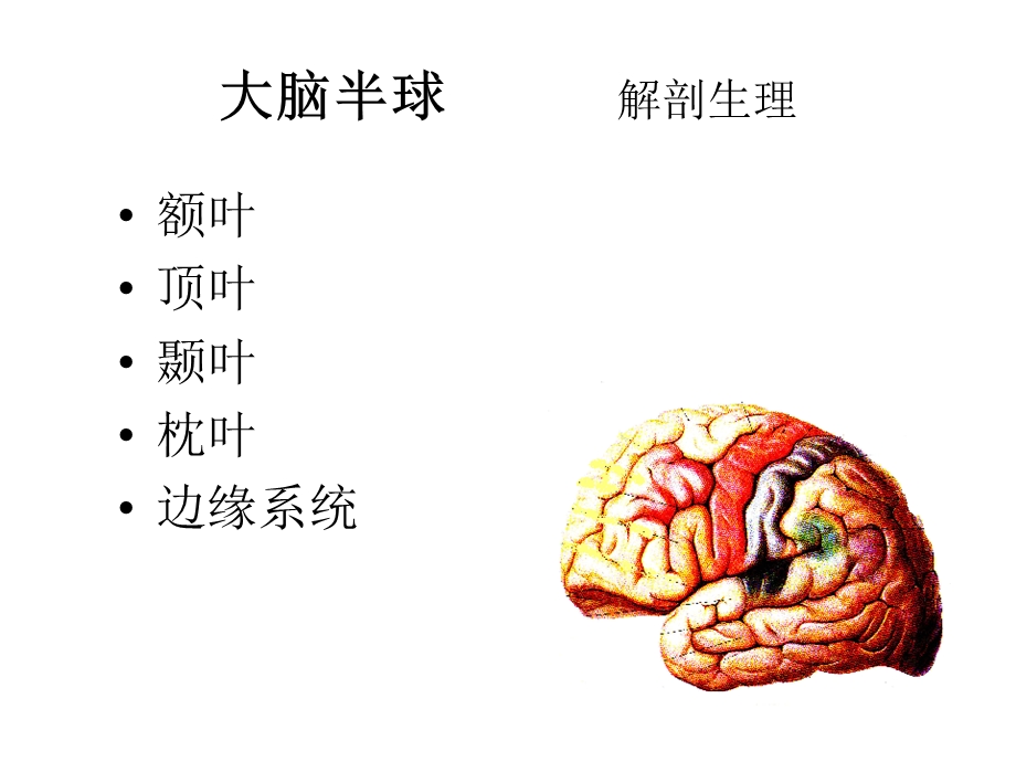 神经病症状学7新大脑.ppt_第3页