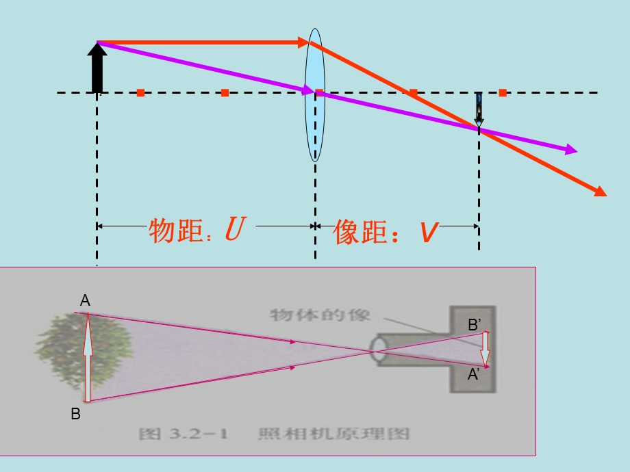 八年级物理眼睛和眼镜.ppt_第3页