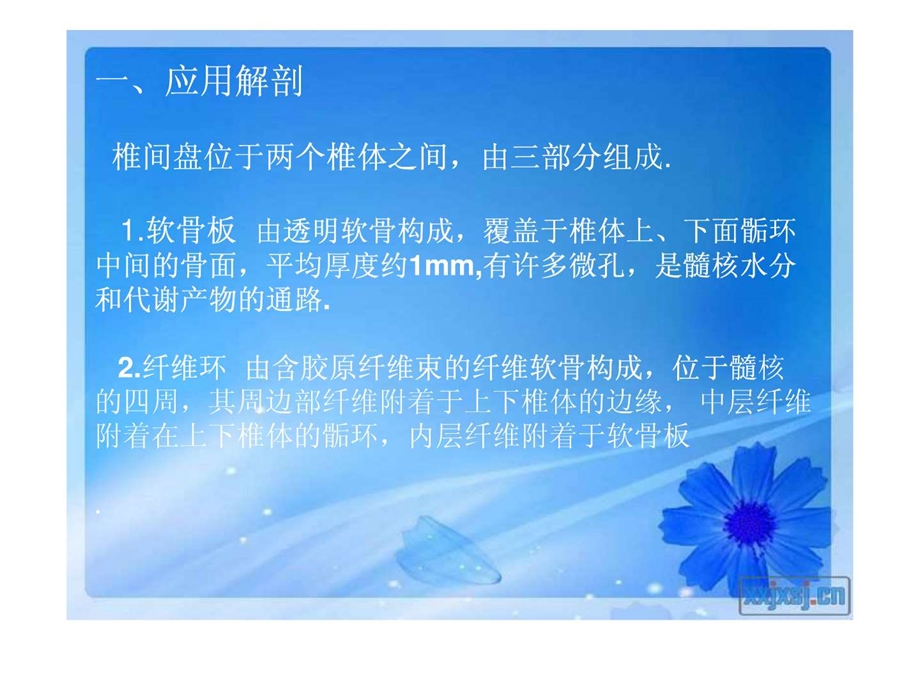 腰椎间盘摘除术演示文稿图文.ppt.ppt_第3页