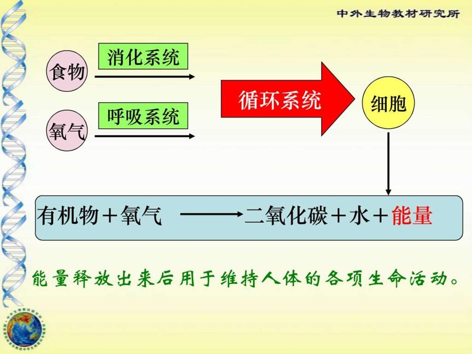 人体能量的供给1521698458.ppt.ppt_第2页