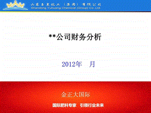 子公司月度财务分析定稿.ppt