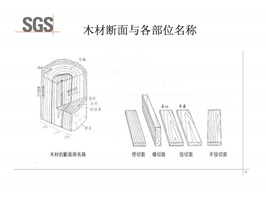 木材知识培训教材.ppt.ppt_第3页