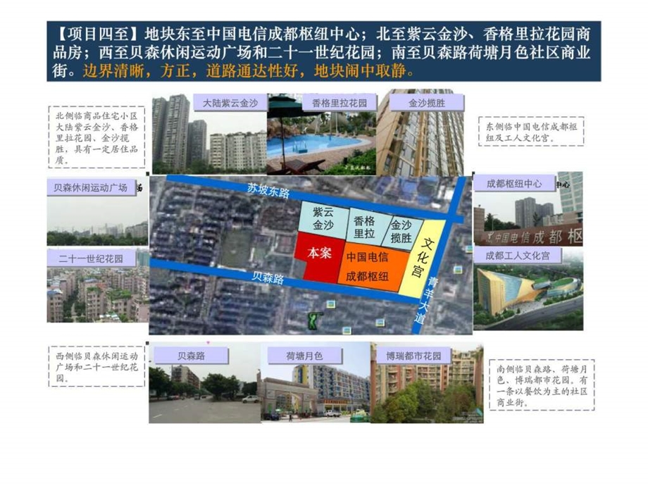 成都保利贝森路项目定位报告.ppt_第3页