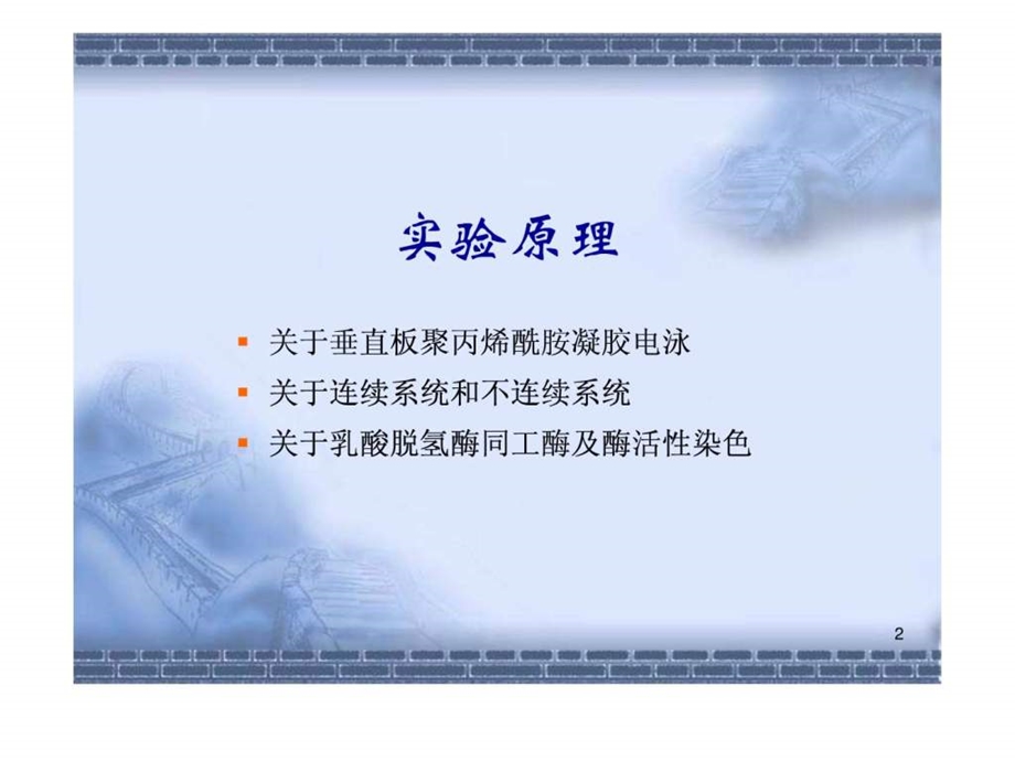 垂直板聚丙烯酰胺凝胶连续电泳分离乳酸脱氢酶同工酶活....ppt.ppt_第2页