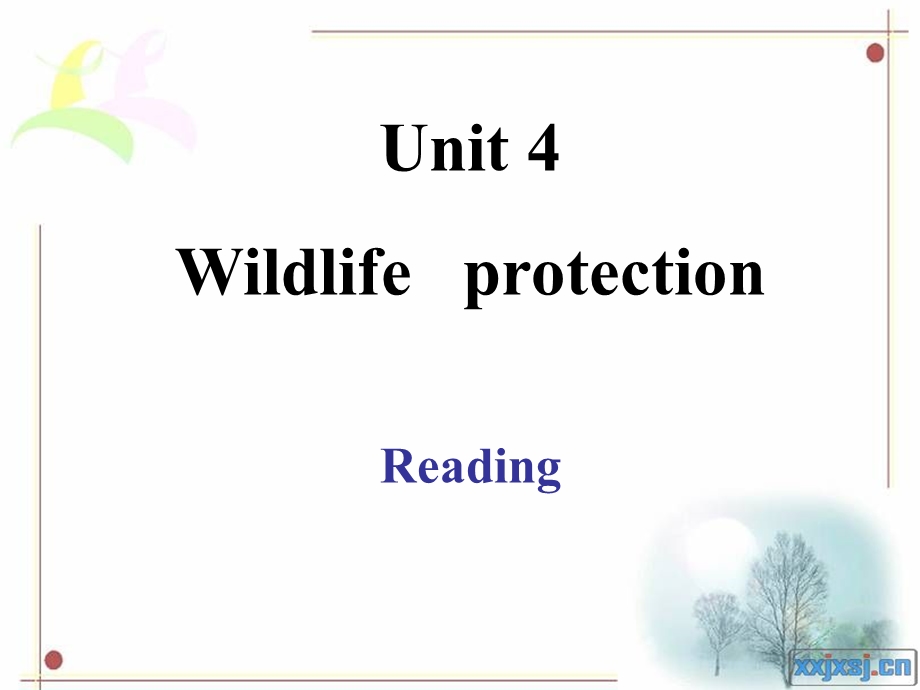 必修二unit4reading.ppt_第2页