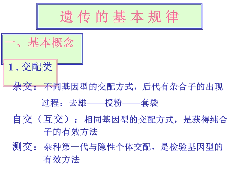 9遗传的基本规律.ppt_第1页